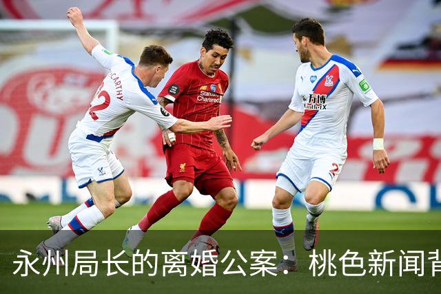 永州局长的离婚公案：桃色新闻背后的漩涡